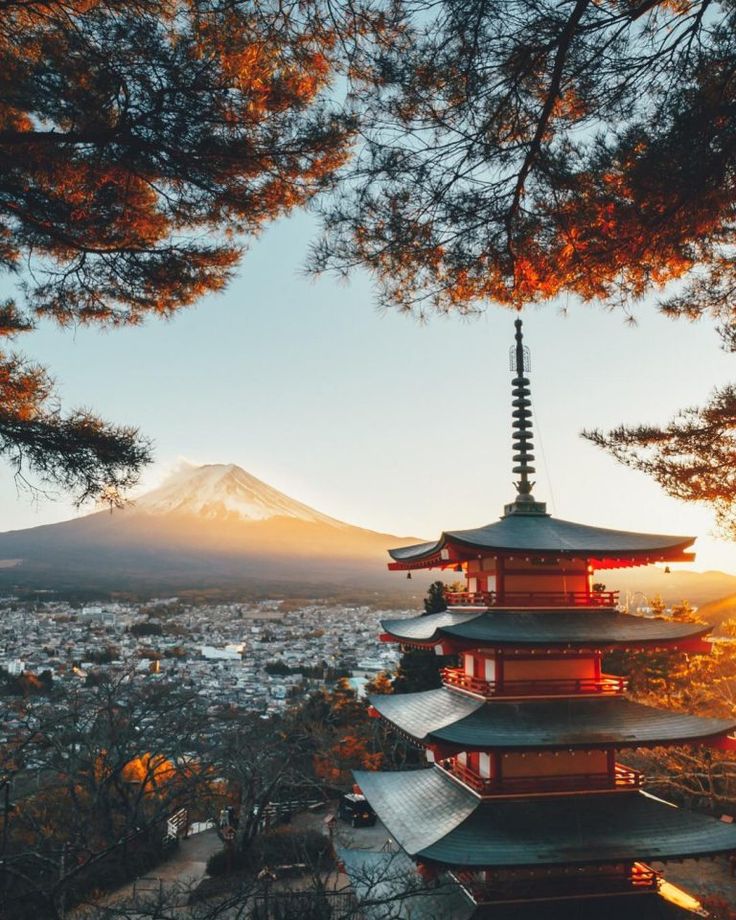 7ccc60c2d232a5e0852c5fe2273c5e73